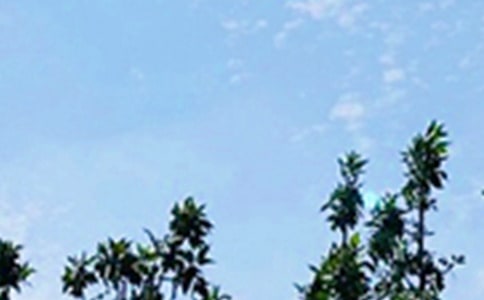 唯美的早安心語語錄25條