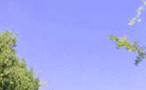 2020�꽛(j��ng)�����\���簲���Z�Z䛺ϼ�24��