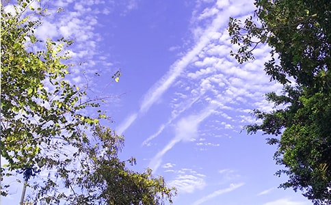 經(jīng)典每日一簽早安心語語錄摘錄41句