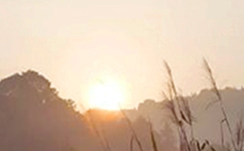 ���x�°��簲���Z�Z�45��