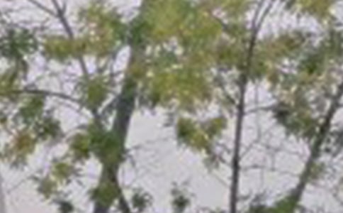 早安語錄適合發(fā)朋友圈早安的句子