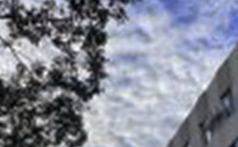 有關(guān)早安句子大全(通用95句)