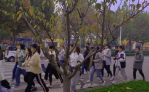 ����t���zӑ��(sh��)ͨ��15ƪ