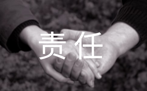 責(zé)任追究制度