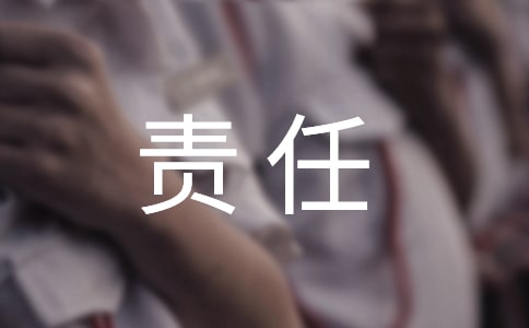 責(zé)任組長述職報(bào)告
