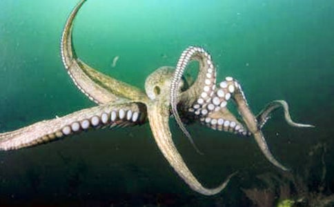 ���~���g(sh��)�̰�