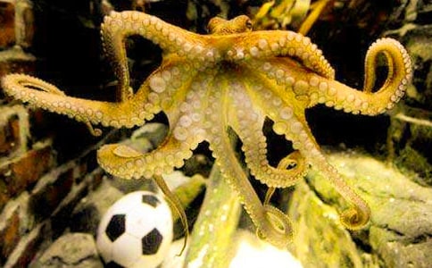 �а����g(sh��)�̰������~��