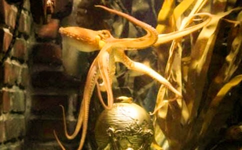 ���~���g(sh��)�̰������x5ƪ��