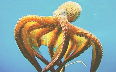 ���g(sh��)���ͽ̰��Ԛ�����~