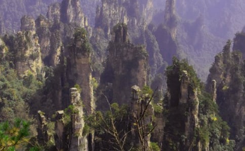 �����ď��ҽ�����(15ƪ)