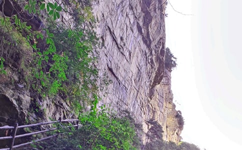 ���ҽ烞(y��u)������