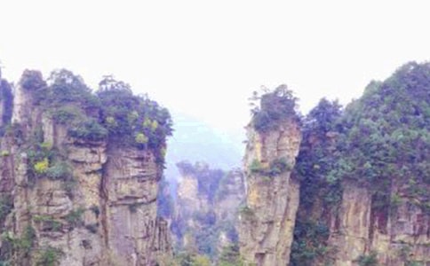 ���ҽ烞(y��u)������