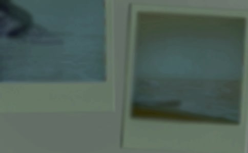 ��Ƭ��Ĺ������꼉(j��)����(15ƪ)