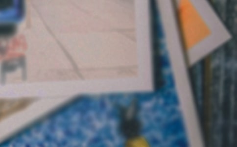 ��Ƭ��Ĺ������ġ�����