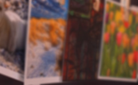 һ���f��Ƭ���ĺϼ�15ƪ