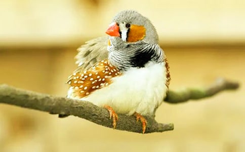 �������B���f�n��