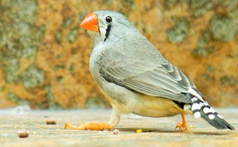 �����B����