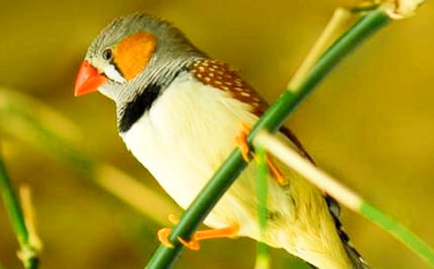 �ɐ۵������B����