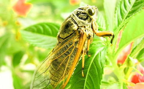 ֪�˃�(y��u)������12ƪ����(y��u)�x��