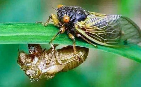 ׽֪�˃�(y��u)������4ƪ