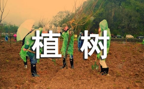 ��ֲ��������ˡ��̌W�OӋ�����x12ƪ��