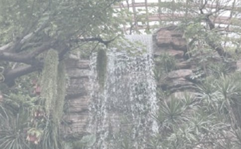 �����A��ֲ��@��ӛ��ƪ