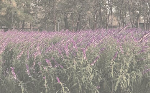 ֲ��@������ӛ