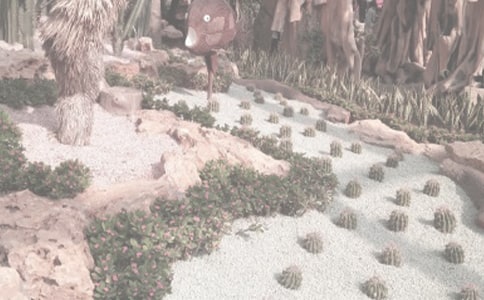 【實(shí)用】植物園日記四篇