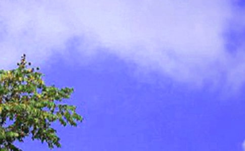 �ЌW(xu��)��������У���Z��(sh��)