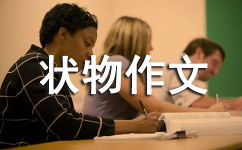 精選初一狀物作文10篇