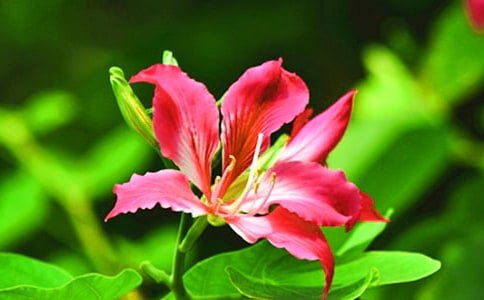 �P(gu��n)�����G��������