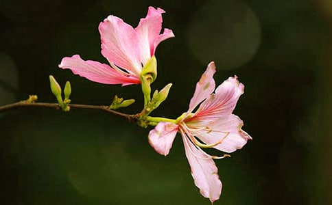 ���G������