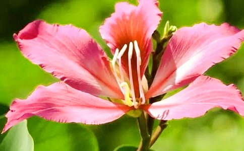 ����һ�����G���_�r(sh��)����800��