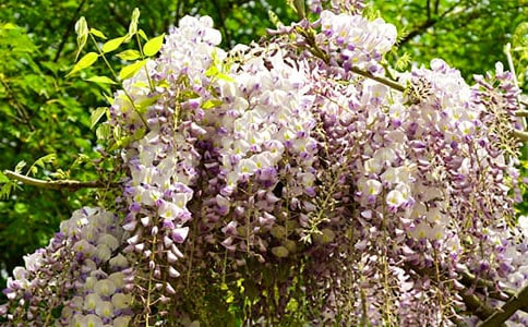 ���ٻ���������