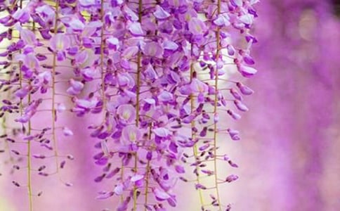 ���x���ٻ�������ƪ