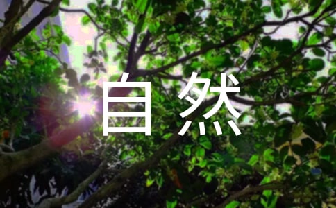 ���ݴ���Ȼ�ľ���40��