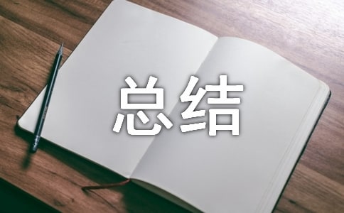 技術(shù)總監(jiān)工作年終個人總結(jié)
