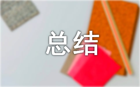 個人社會實踐總結(jié)