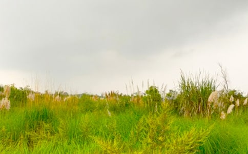 ���M���C�Ĵ�������