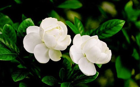 �P(gu��n)������������С�W(xu��)�����ģ����x3ƪ��