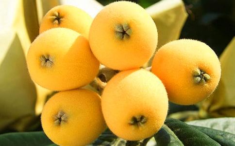 ���˵�����