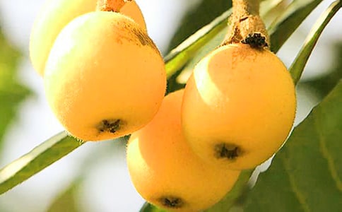 ���˶Yٝ����