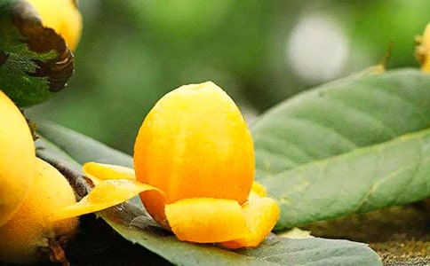 ժ��������