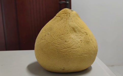 ժ��������