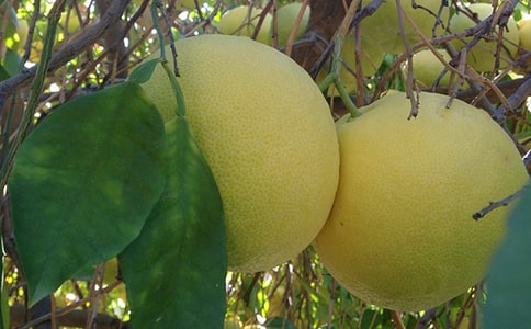 ��С�W(xu��)���ġ�����