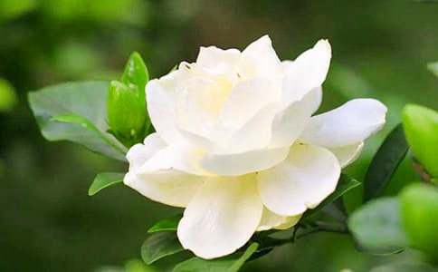 �茑�d�ӻ��ľ���