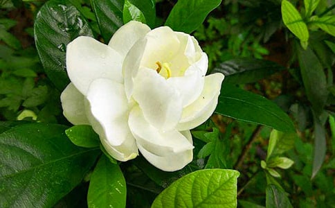 �d�ӻ��_���ģ����x32ƪ��