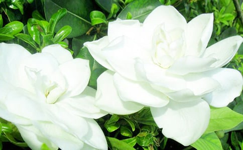 �d�ӻ���ζ����(y��u)�����ģ����x5ƪ��