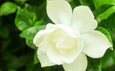 �d�ӻ��_(k��i)���ľ��x15ƪ