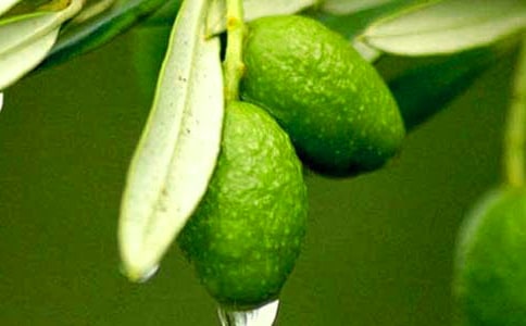 �ϙ죬�ʁ�(l��i)!